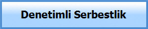 Denetimli Serbestlik
