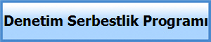 Denetim Serbestlik Program